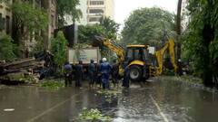 Roofs Of Houses Blown Away, Trees Uprooted: Cyclone Remal's Trail Of Destruction — In Pics