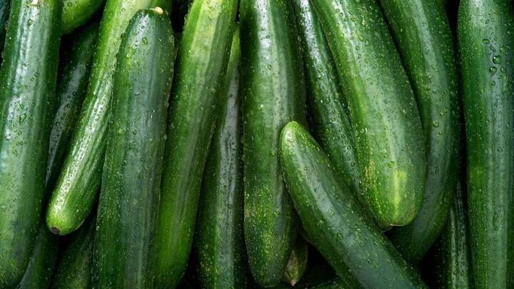 जब खीरे को खरीद रहे हो. तो उसे हाथ में लेकर जरुर चेक करें. अगर खीर दबाने पर मुलायम मालूम होता है. तो वह कड़वा और खराब हो सकता है. इसीलिए हमेशा ऐसा खीरा खरीदें जो कड़क हो.