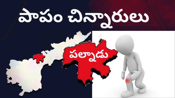 Palnadu News: పల్నాడును కుదిపేస్తున్న మరో రోగం- పరుగులు పెడుతున్న అధికారులు!