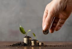 Farming: यहां बीज खरीदने पर 50 परसेंट की सब्सिडी दे रही सरकार, ऐसे ले सकते हैं लाभ