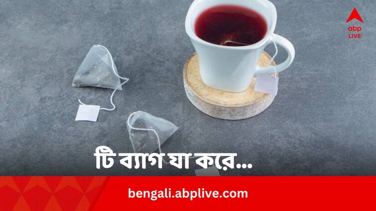 Tea Bag Top 5 Health Issues And Environmental Hazard In Bengali Tea Bag Health Issues: টি ব্যাগের চা খাওয়া ভাল ?