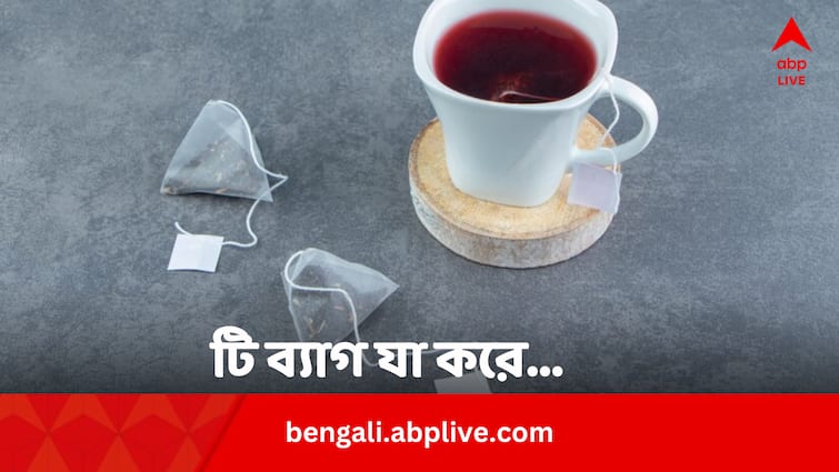 Tea Bag Top 5 Health Issues And Environmental Hazard In Bengali