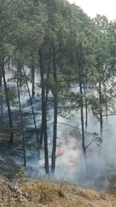 Uttrakhand: टिहरी गढ़वाल के जंगलों में लगी भीषण आग | ABP Shorts