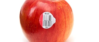 Fruits Sticker Code: ફળો પર સ્ટીકર કેમ લગાવવામાં આવે છે, સમજો તેના પર લખેલા નંબરનો અર્થ શું છે?