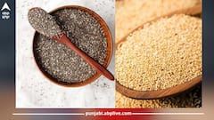 Calcium: ਕੈਲਸ਼ੀਅਮ ਦਾ ਭੰਡਾਰ ਨੇ ਇਹ ਦੋ ਬੀਜ, ਇੰਝ ਕਰੋ ਡਾਇਟ ਦੇ ਵਿੱਚ ਸ਼ਾਮਿਲ