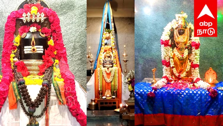 villuppuram eraiyanur mangaleswarar temple tindivanam history know full details Villuppuram: சரும நோய்கள் உள்ளவர்கள் செல்ல வேண்டிய கோயில் எது? மங்களேஸ்வரரின் தல வரலாறு கேளுங்க!