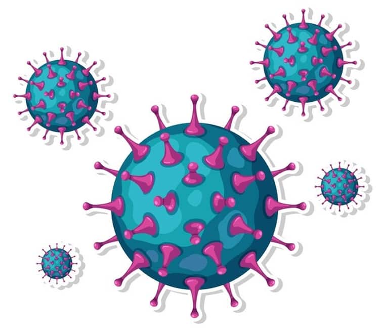 who report 25 lakh people dying due to HIV, viral hepatitis and sexually transmitted diseases WHO Report: HIV, વાયરલ હેપેટાઇટિસ અને સેક્સ્યુઅલી ટ્રાન્સમિટેડ રોગોને કારણે દર વર્ષે 25 લાખ લોકો મૃત્યુ પામે છે