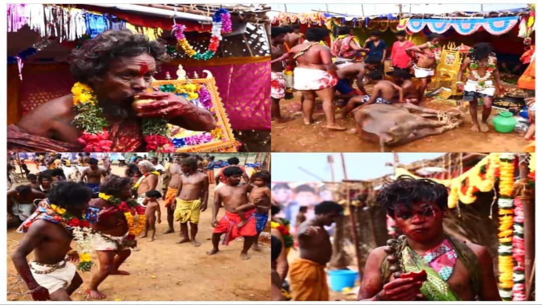 நெல்லை: நரிக்குறவர்களின் நூதன வழிபாடு..! பாவடை, இடுப்பில் சலங்கையுடன் ஆக்ரோஷ ஆட்டம்..!  5 ஆண்டுக்குபின்  நடந்த திருவிழா..!