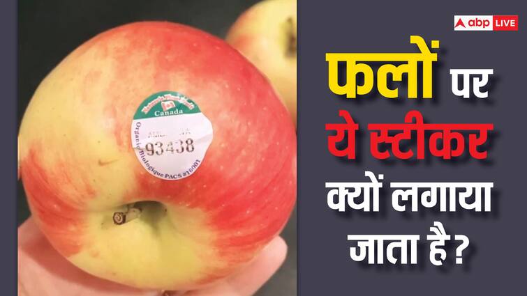 health tips fruits sticker numbers meaning in hindi Fruits Sticker Code: फलों पर क्यों लगाया जाता है स्टीकर, समझें उस पर लिखे नंबर का क्या होता है मतलब?