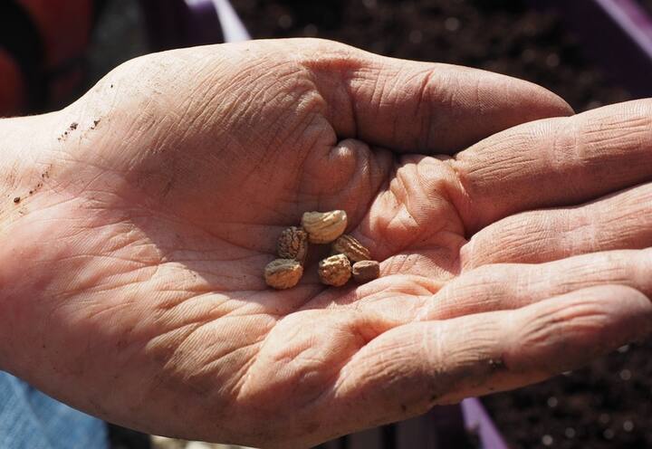 किसानों के लिए सरकार आए दिन नई नई योजनाएं लेकर आती है.