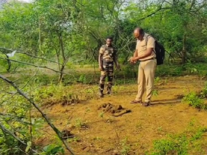 மேகமலை புலிகள் சரணாலயத்தில் கணக்கெடுக்கும் பணி துவக்கம்; வனத்துறையினர் என்னென்ன செய்வார்கள்?