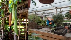 Terrace Gardening : மாடித்தோட்டம் வேண்டுமா? இப்படி செய்தால் செடிகள் வளமாக இருக்கும்!