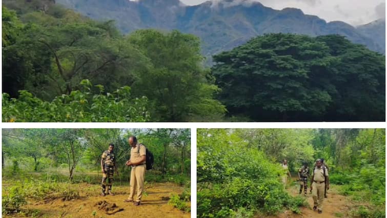 Srivilliputhur Meghamalai Tiger Reserve starts tiger census - TNN மேகமலை புலிகள் சரணாலயத்தில் கணக்கெடுக்கும் பணி துவக்கம்; வனத்துறையினர் என்னென்ன செய்வார்கள்?