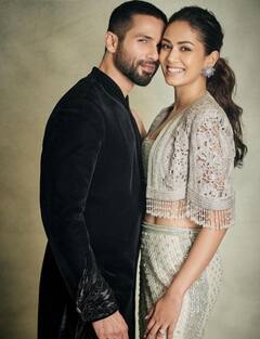 Shahid Kapoor: शाहिद कपूर और मीरा राजपूत ने मुंबई में खरीदा लग्जरी अपार्टमेंट, करोड़ों में है कीमत