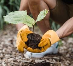 Terrace Gardening : மாடித்தோட்டம் வேண்டுமா? இப்படி செய்தால் செடிகள் வளமாக இருக்கும்!