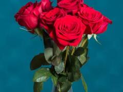 Romantic Tips: ਫੁੱਲਾਂ ਨਾਲ ਵੀ ਕਰ ਸਕਦੇ ਹੋ ਆਪਣੇ ਪਿਆਰ ਦਾ ਇਜ਼ਹਾਰ , ਜਾਣੋ ਕਿਹੜਾ ਫੁੱਲ ਕੀ ਕਹਿੰਦਾ ਹੈ?