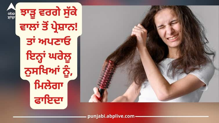 Troubled by dry hair like broom! So follow these home remedies, you will get silky and smooth hair in just 1 wash Dry Hair: ਝਾੜੂ ਵਰਗੇ ਸੁੱਕੇ ਵਾਲਾਂ ਤੋਂ ਪ੍ਰੇਸ਼ਾਨ! ਤਾਂ ਅਪਣਾਓ ਇਨ੍ਹਾਂ ਘਰੇਲੂ ਨੁਸਖਿਆਂ ਨੂੰ, 1 ਵਾਰ ਧੋਣ 'ਤੇ ਤੁਹਾਨੂੰ ਮਿਲਣਗੇ ਰੇਸ਼ਮੀ ਅਤੇ ਮੁਲਾਇਮ ਵਾਲ