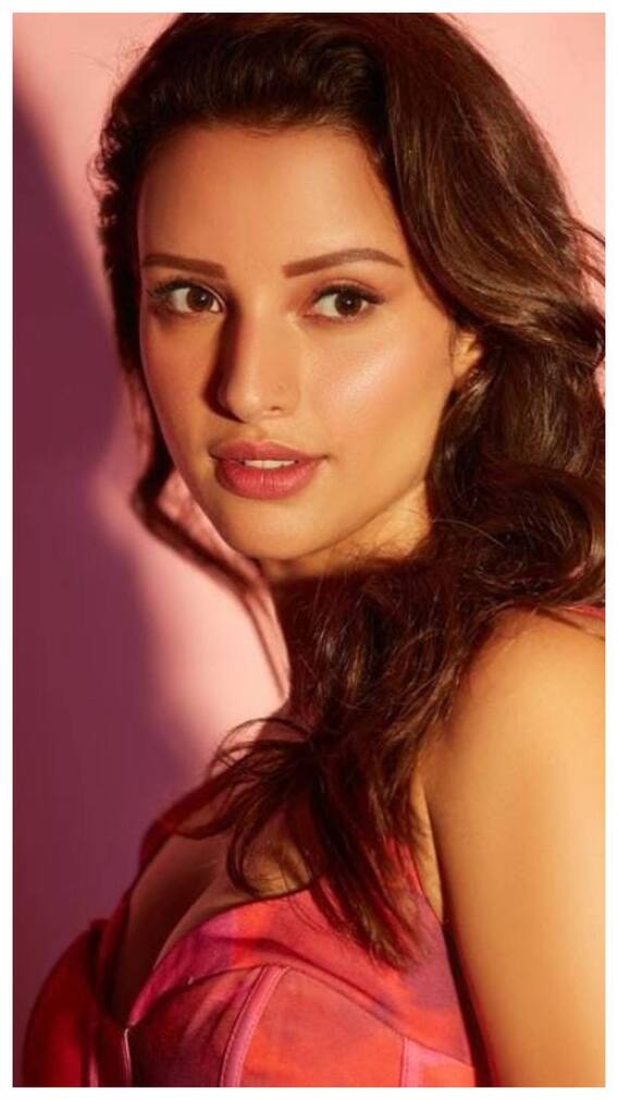 एनिमल एक्ट्रेस तृप्ति डिमरी का क्या है फिटनेस सीक्रेट?