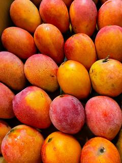 Mango : एका दिवसात किती 'आंबे' खाणे तुमच्या आरोग्यासाठी चांगले, जाणून घ्या...