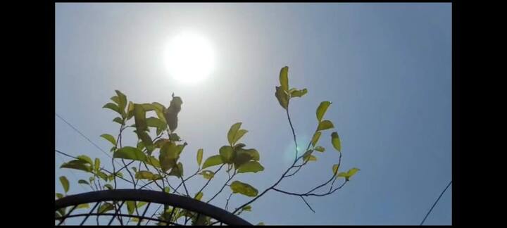 (6)उन खिड़कियों और दरवाजों पर जिनसे दोपहर के समय गर्म हवाएं आती हैं काले पर्दे लगाकर रखना चाहिए. (7) स्थानीय मौसम के पूर्वानुमान को सुने और आगामी तापमान में होने वाले परिवर्तन के प्रति सतर्क रहें.