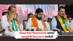 लोकसभेचा स्ट्राईक रेटच ठरवणार महायुतीचे सभेचे जागावाटप, विधानसभेला भाजपच ठरणार मोठा भाऊ!