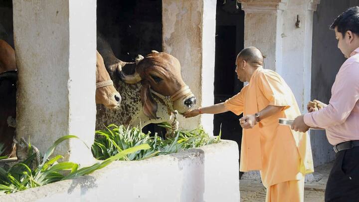 सीएम योगी ने दावा किया कि हम नेशन फर्स्ट की थ्योरी पर काम करते हैं और पार्टी के सिद्धांतों के लिए किसी भी हद तक समर्पित भाव से काम करेंगे.