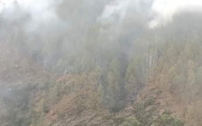 Forest Fire Breaks Out In Budogi Uttarakhand Tehri Garhwal Another Fire Breaks Out In Uttarakhand, Budogi Village In Tehri Garhwal Affected — VIDEO
