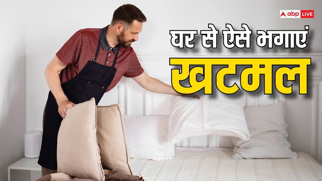 Bedbugs Sucking Your Blood All Night Try This Trick to remove with home remedies Home Tips: रातभर खून पीते हैं खटमल तो आजमा लें यह ट्रिक और हमेशा-हमेशा के लिए कह दें अलविदा