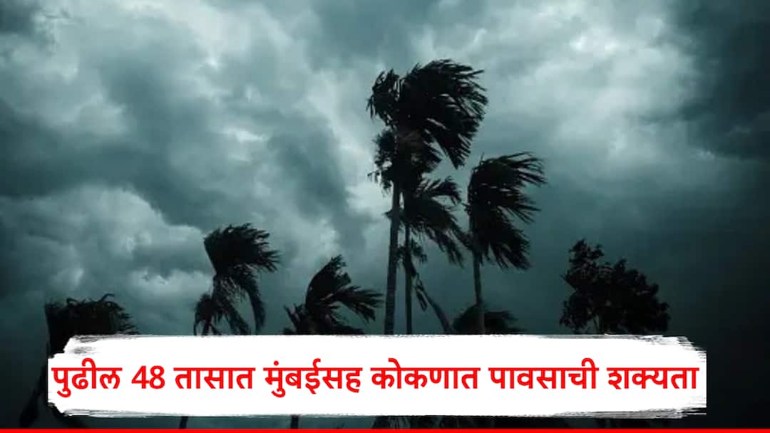 पुढील 48 तासांत मुंबईसह कोकणात पावसाची शक्यता, मध्य महाराष्ट्र आणि मराठवाड्यालाही झोडपणार Maharashtra rain prediction Rainfall alert in next 48 hours kokan mumbai thane madhya maharashtra havaman andaj latest update marathi news पुढील 48 तासांत मुंबईसह कोकणात पावसाची शक्यता, मध्य महाराष्ट्र आणि मराठवाड्यालाही झोडपणार