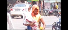 Heatwave: 47 डिग्री के पार पहुंचा पारा, पेड़ों से गिरकर मरने लगे पंछी, रोडवेज ड्राइवर की मौत