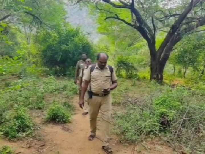 மேகமலை புலிகள் சரணாலயத்தில் கணக்கெடுக்கும் பணி துவக்கம்; வனத்துறையினர் என்னென்ன செய்வார்கள்?