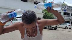 Heatwave: 47 डिग्री के पार पहुंचा पारा, पेड़ों से गिरकर मरने लगे पंछी, रोडवेज ड्राइवर की मौत