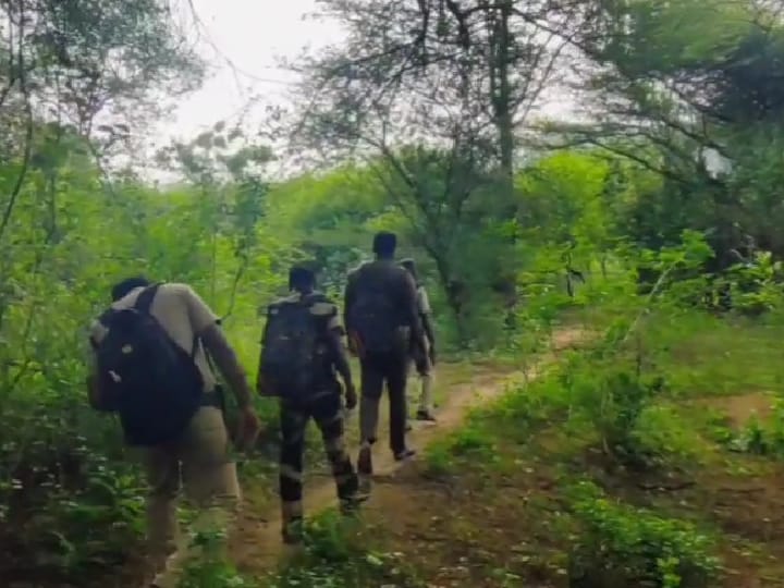 மேகமலை புலிகள் சரணாலயத்தில் கணக்கெடுக்கும் பணி துவக்கம்; வனத்துறையினர் என்னென்ன செய்வார்கள்?