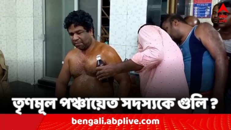 Lok Sabha Election 2024 TMC Panchayat member allegedly shot during distribution of voter slip at Jaynagar Lok Sabha Election 2024: ভোটার স্লিপ বিলির সময় তৃণমূল পঞ্চায়েত সদস্যকে লক্ষ্য করে গুলি চালানোর অভিযোগ জয়নগরে !