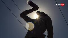 Delhi Temperature: दिल्ली के मंगेशपुर में तापमान कैसे हुआ 52 डिग्री सेल्सियस के पार? IMD ने दी ये बड़ी जानकारी