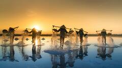 दुनिया में सबसे ज्यादा किस देश में होता है नमक का उत्पादन, भारत का किस नंबर पर आता है नाम?