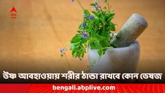Herbs: গরমের মরশুমে শরীরের তাপমাত্রা নিয়ন্ত্রণে রাখতে ভরসা রাখুন এই ৫ ভেষজ উপকরণে