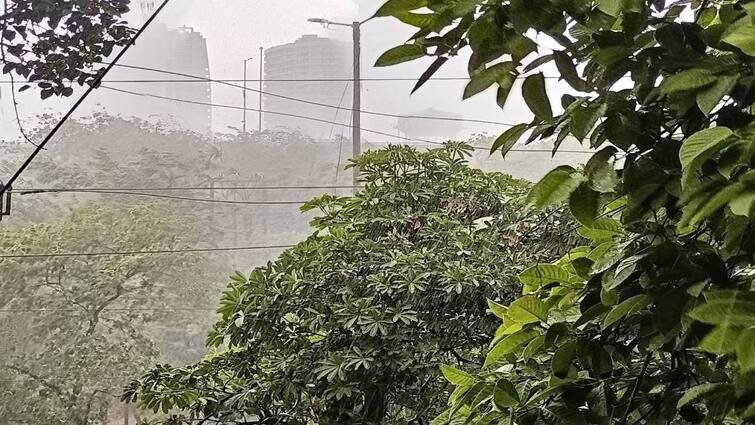 after temperature gone up to 52 degree now thunderstorm and rain in delhi relief from heat wave Delhi Rains: ఢిల్లీలో రికార్డు ఉష్ణోగ్రత, కాస్త కరుణించిన వరుణుడు- వర్షంతో ఎండల నుంచి ఉపశమనం