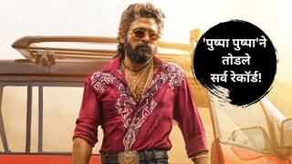 Pushpa 2 : 'पुष्पा पुष्पा'ने तोडले सर्व रेकॉर्ड; 21 दिवसांत गाण्याला मिळाले 100 मिलियनपेक्षा जास्त व्ह्यूज