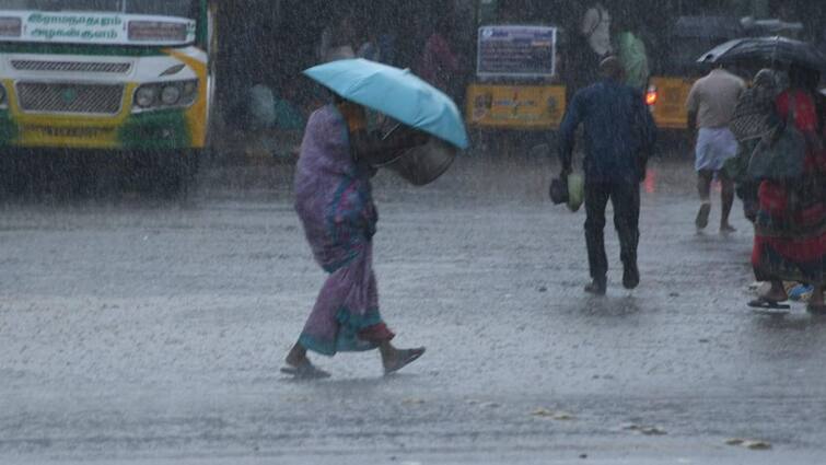 Heavy rains are likely to occur in 9 districts of Tamil Nadu on June 1 and 2, according to the Meteorological Department TN Weather Update: 24 மணிநேரத்தில் தொடங்கும் தென்மேற்கு பருவமழை.. ஜூன் 1, 2 தேதிகளில் 9 மாவட்டங்களுக்கு கனமழை எச்சரிக்கை..