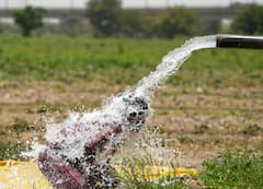 Record Temperatures In Parts Of North India, Rain Brings Respite In Delhi—In Pics