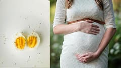 Eggs For Pregnant Women : गर्भवतींनी अंडी खावीत का? जाणून घ्या!