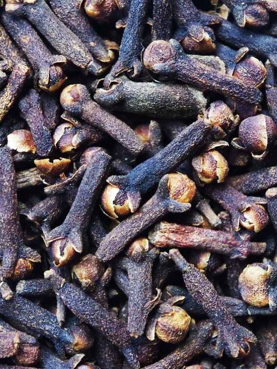 घर पर कैसे उगेगी 1000 रुपये किलो वाली लौंग?