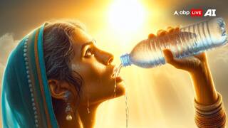 Vadodara Heatwave: વડોદરામાં હીટવેવથી 24 કલાકમાં છાણી પોલીસ સ્ટેશનના એએસઆઈ સહિત 2 લોકોનાં મોત