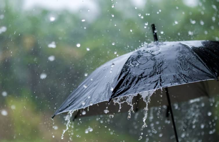 Meteorological Department has announced the latest long-term monsoon forecast india weather news  दिलासादायक! मान्सूनचा अद्ययावत दीर्घकालीन अंदाज जाहीर, देशात कसं असणार पाऊसमान?