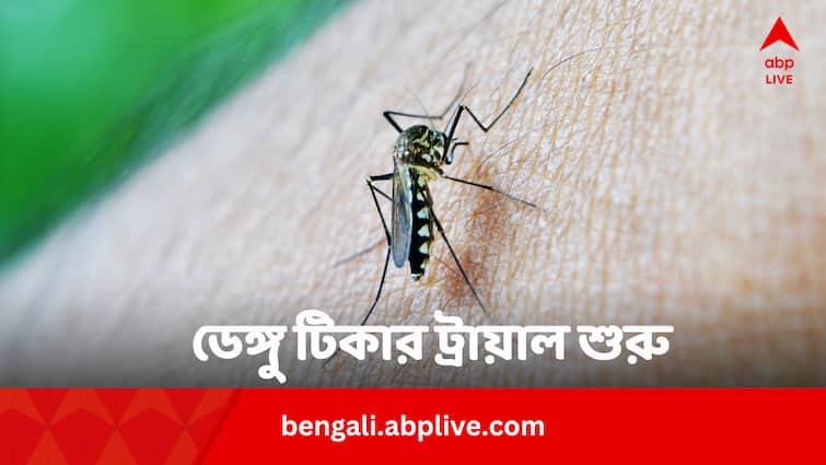 Dengue Vaccine phase 3 trial will start soon vaccine will be available in market shortly