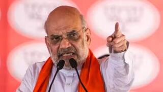 બંગાળ, દિલ્હી, ઓડિશા, તેલંગાણા... ક્યાં કેટલી બેઠકો જીતી રહી છે BJP, - અમિત શાહે બતાવ્યો ફાઇનલ આંકડો