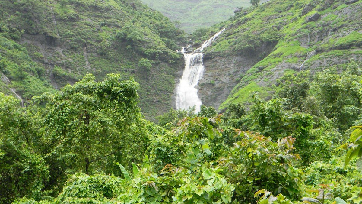 Hidden Gem Travel : हिरव्यागार जंगलात लपलेला महाराष्ट्रातील 'हा' धबधबा..निसर्गाची एक चित्तथरारक देणगी! जी तुम्हाला वेड लावेल