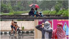 Record Temperatures In Parts Of North India, Rain Brings Respite In Delhi—In Pics