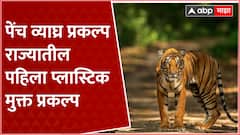 Pench Tiger Reserve : पेंच व्याघ्र प्रकल्प राज्यातील पहिला प्लास्टिक मुक्त प्रकल्प ABP Majha